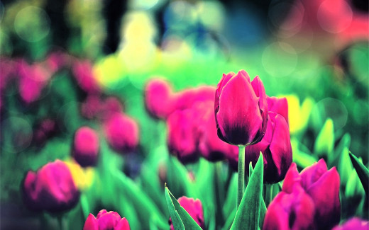 1754881 (a): :1920x1200